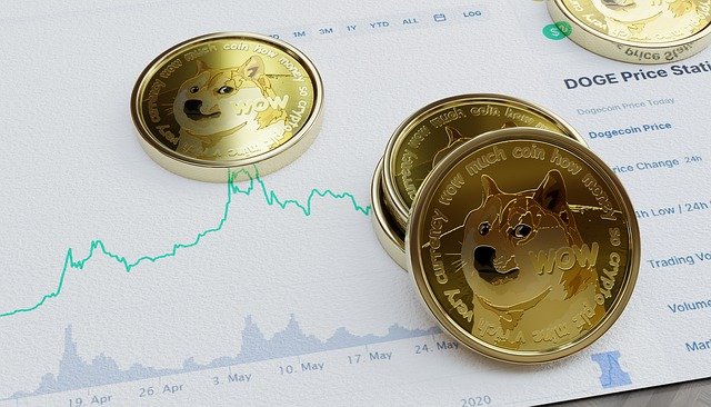 dogecoin tl fiyatı