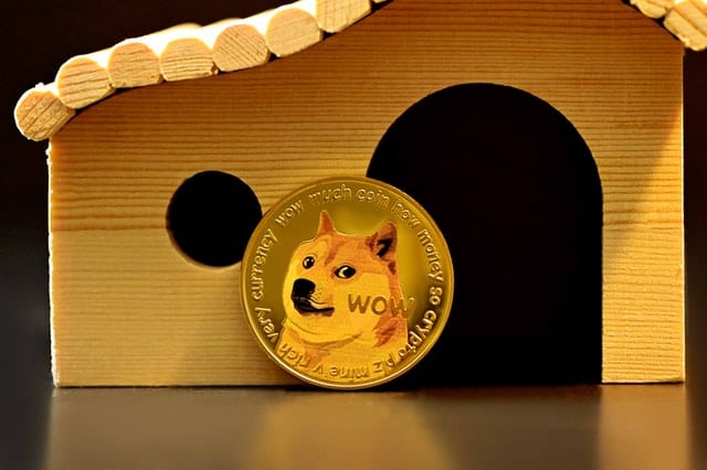 Shiba Inu SHIB token